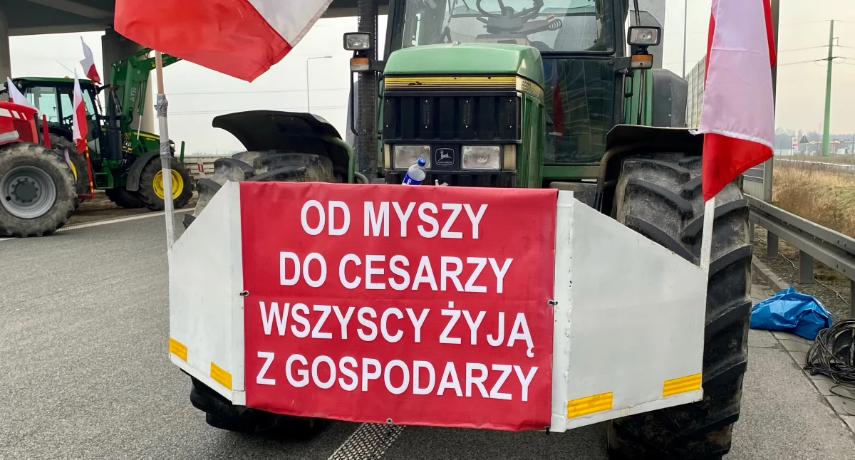 Fot. Anna Konopka/wm.pl