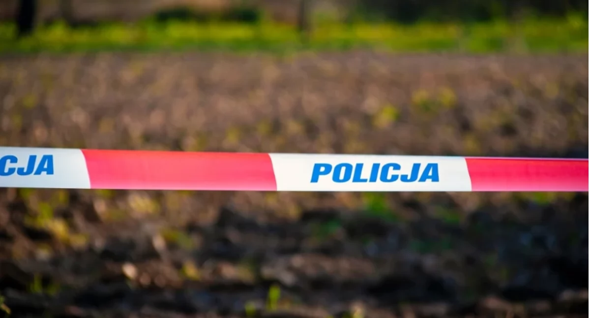 Kryminalne, latka żyje areszcie letni - zdjęcie, fotografia