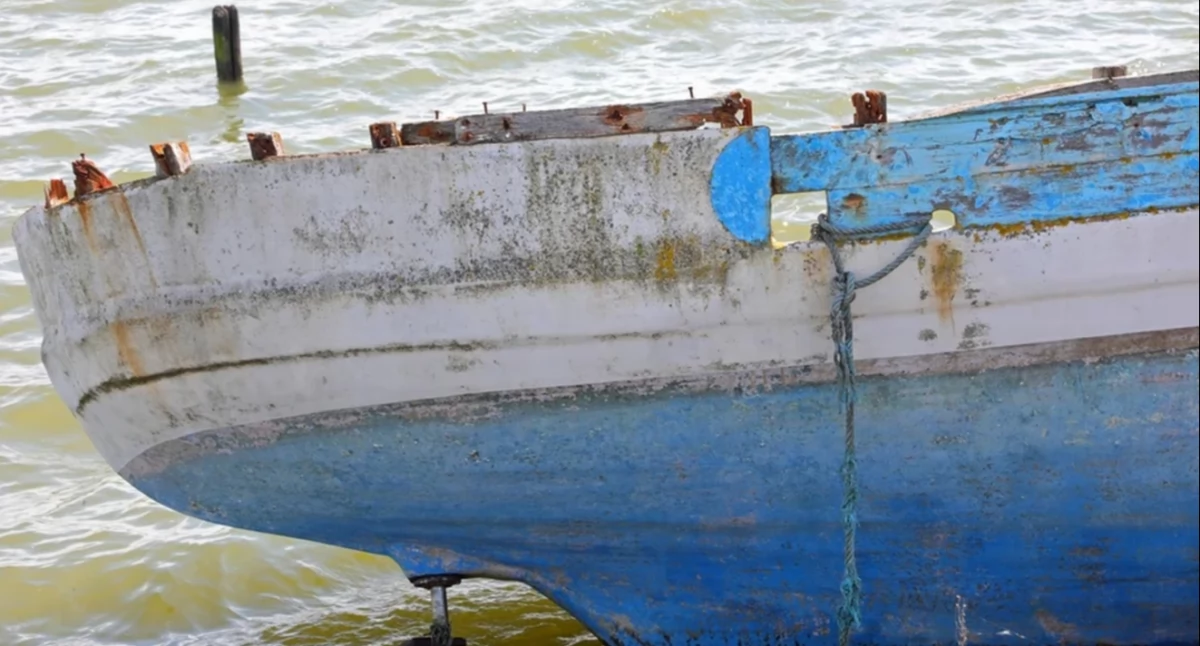 Katastrofa u wybrzeży Senegalu. Co najmniej 150 migrantów nie żyje/Shutterstock