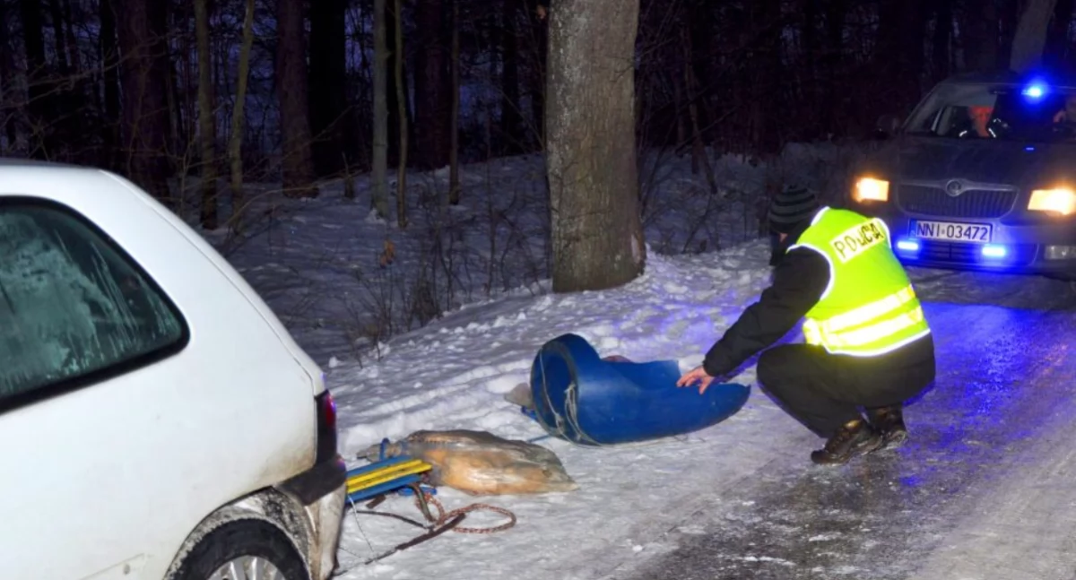 Policja/ilustracyjne