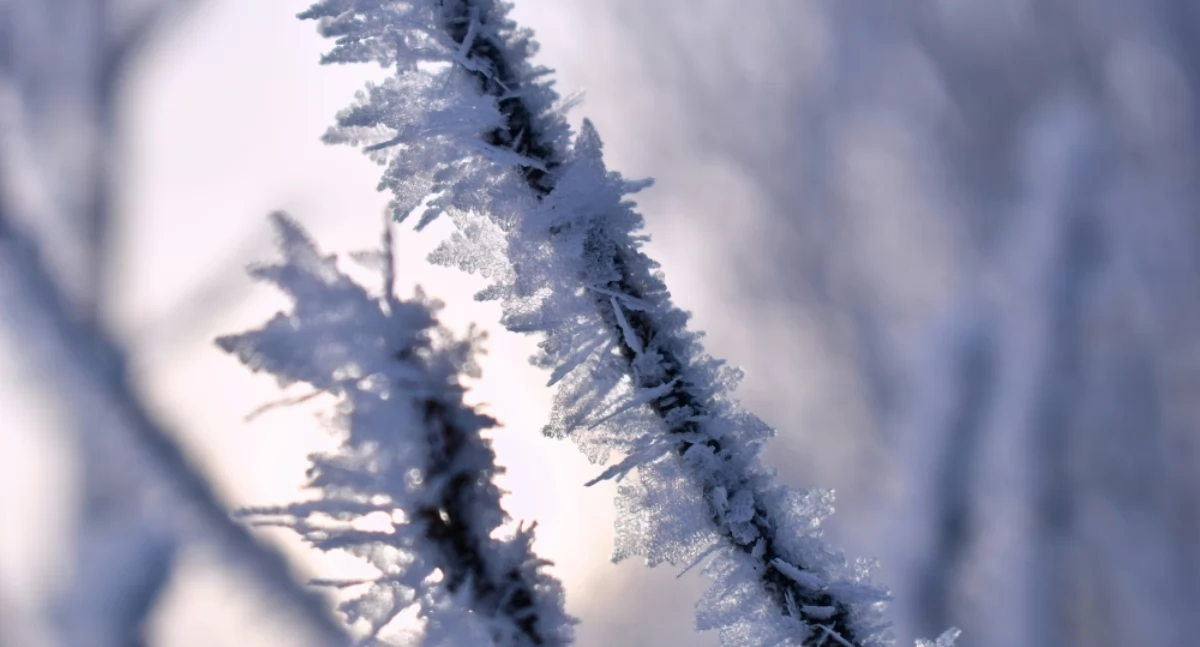 Polina Grishma on Unsplash