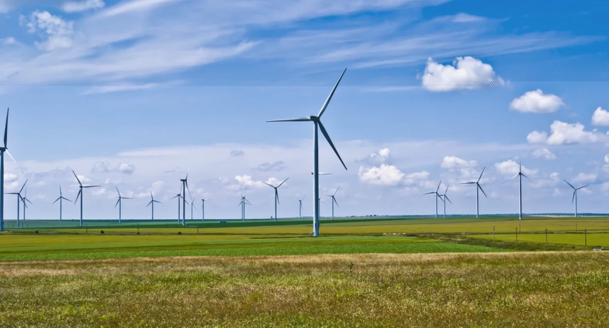Największa dotychczas farma wiatrowa w Rumunii Fantanele- Cogealac, zdjęcie Wikipedia licencja Creative Commons