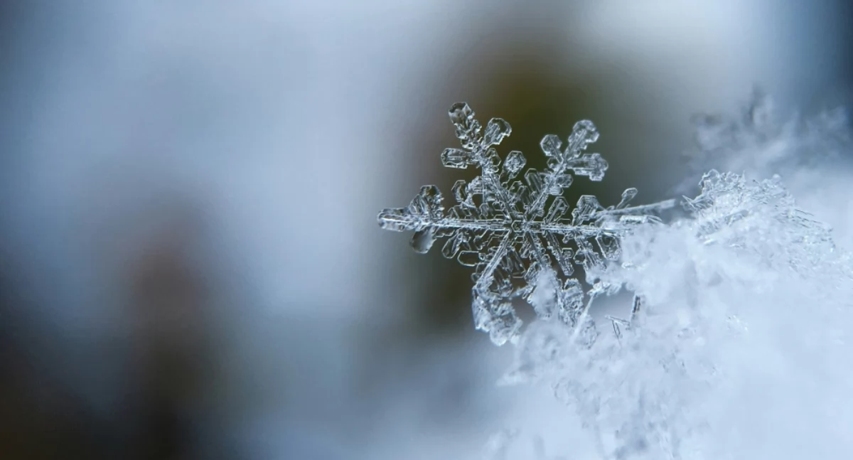 Aaron Burden on Unsplash