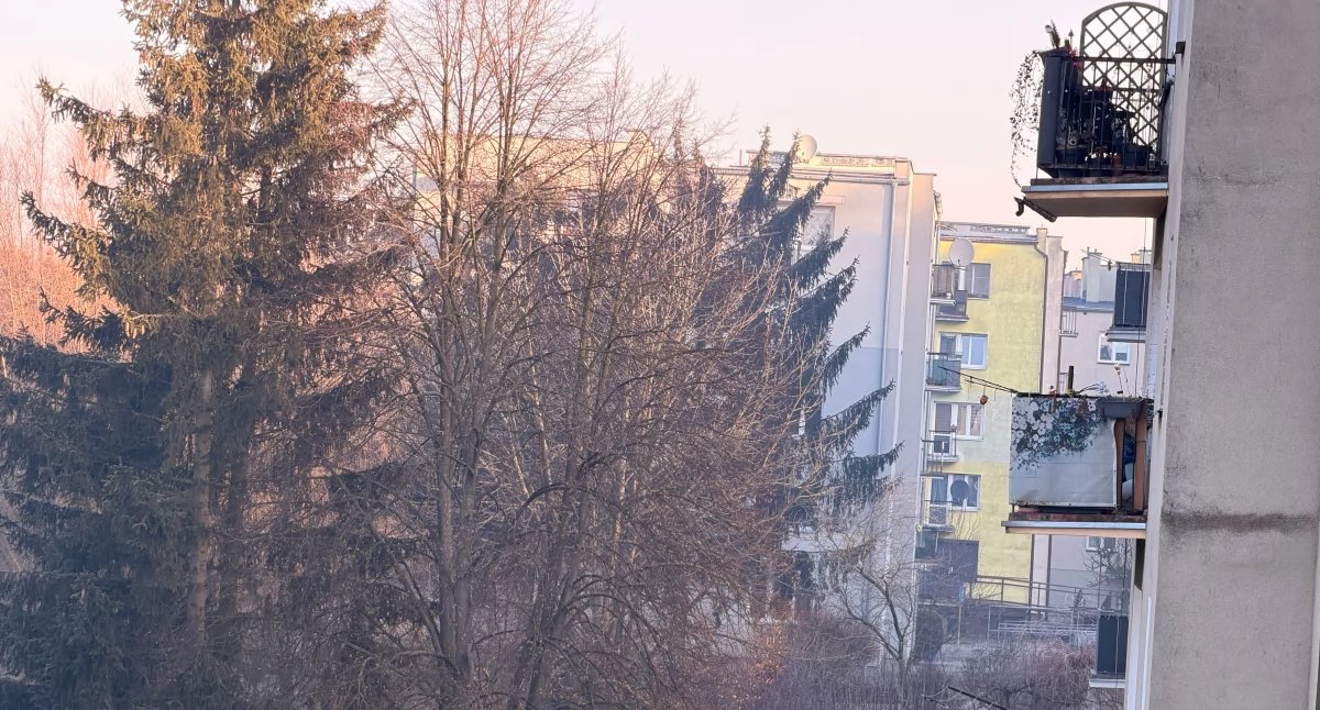 Rodzina, korzystać balkonu zgodnie przepisami uniknąć konfliktów mandatów - zdjęcie, fotografia
