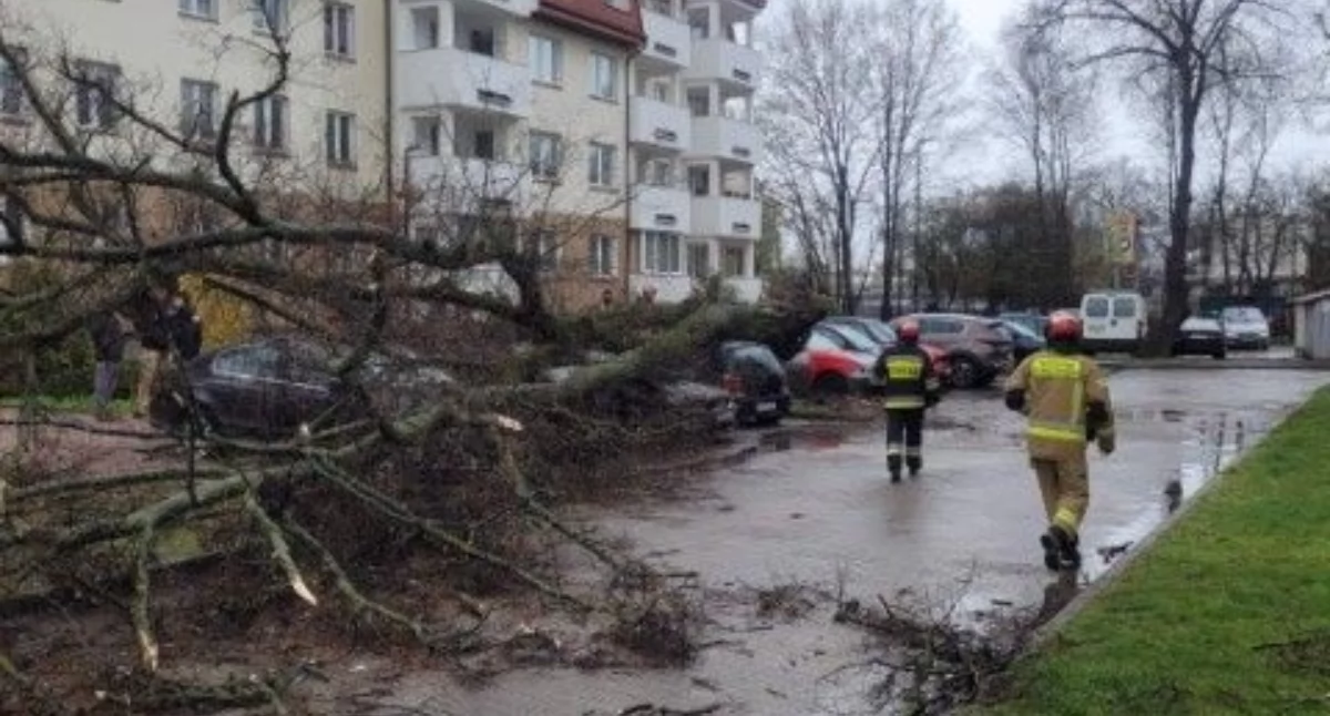 Fot. KP/KM PSP woj. lubelskiego