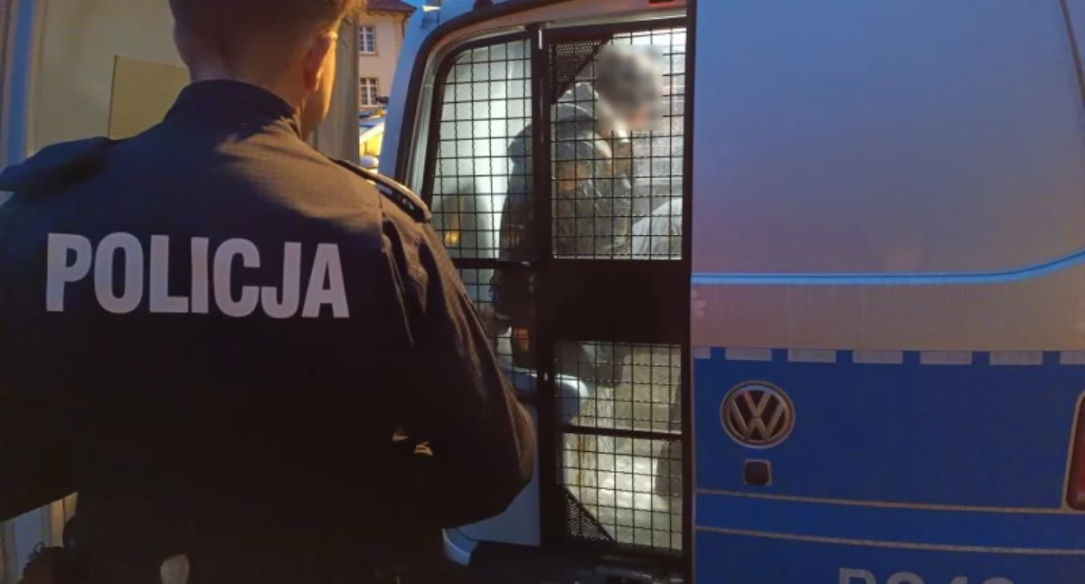 Policja/ilustracyjne
