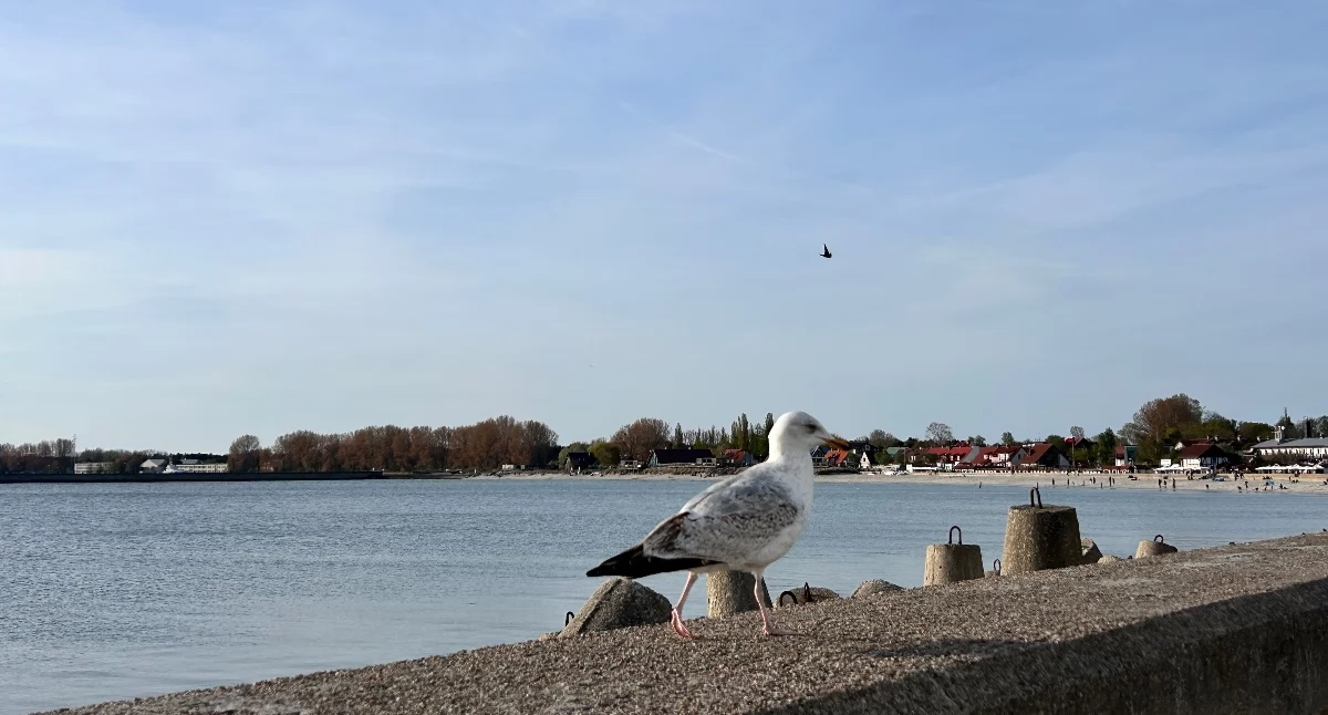 al