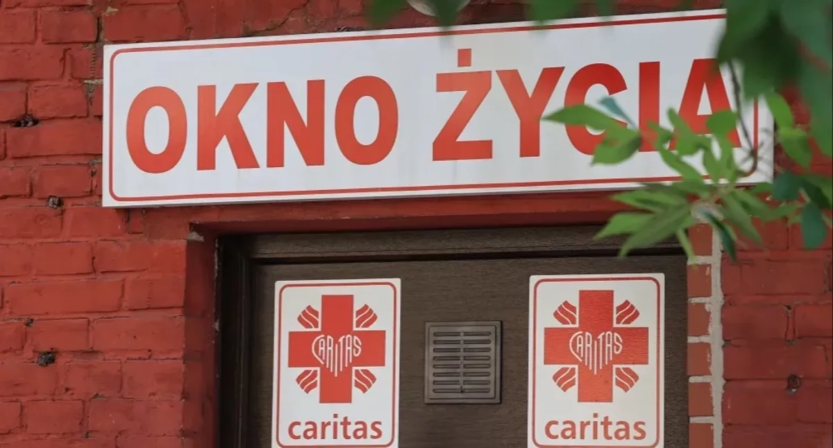 kno życia w Warszawie, zdjęcie ilustracyjne, fot. PAP/Szymon Pulcyn