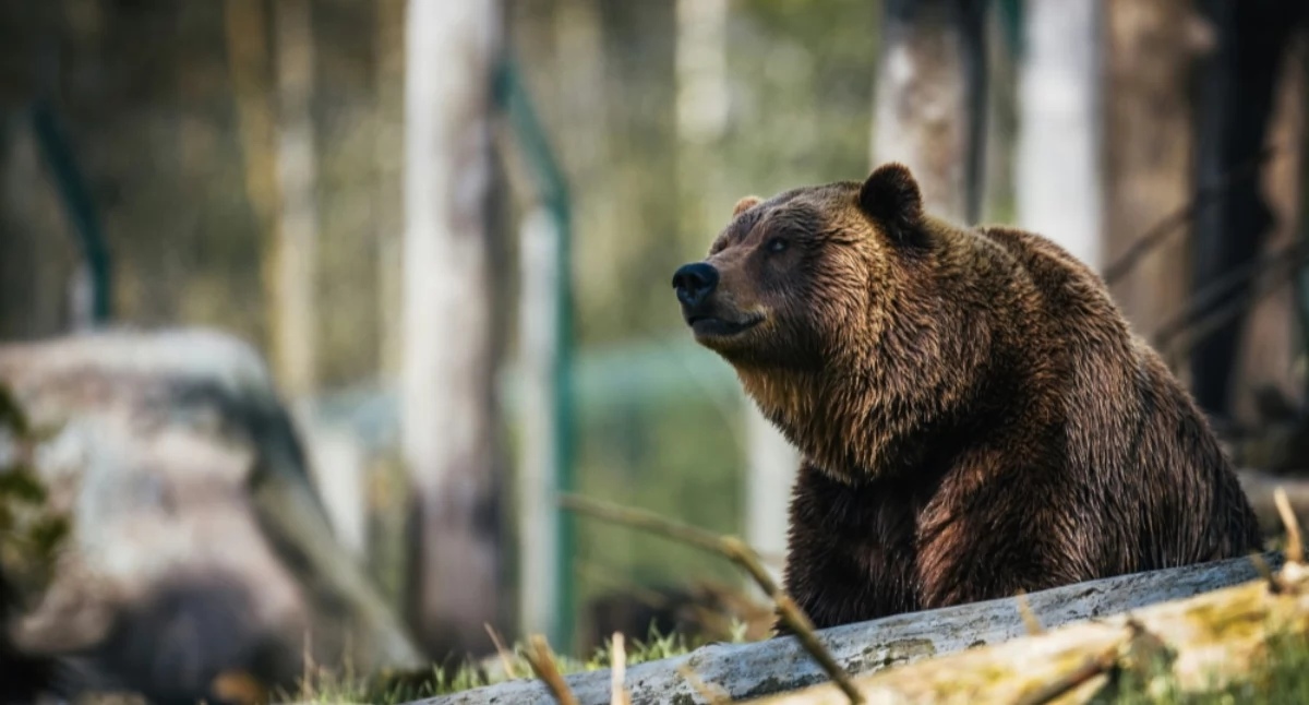 Janko Ferlič on Unsplash   zdj. ilustracyjne