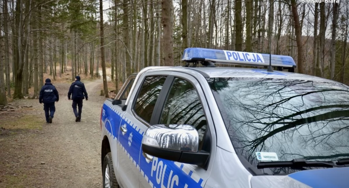 Informacje z Polski, Wyszła rocznym trzyletnim dzieckiem udała stronę masywu leśnego - zdjęcie, fotografia