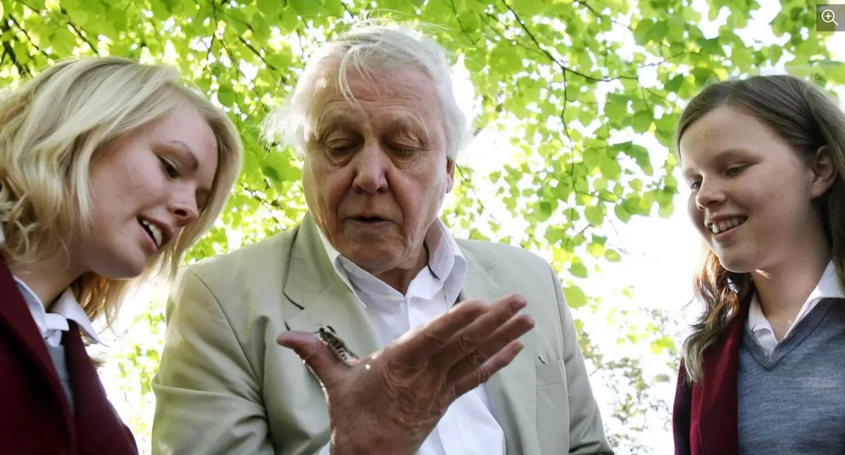 Sir David Attenborough kończy sto lat Źródło: ANDY RAIN/PAP/EPA
