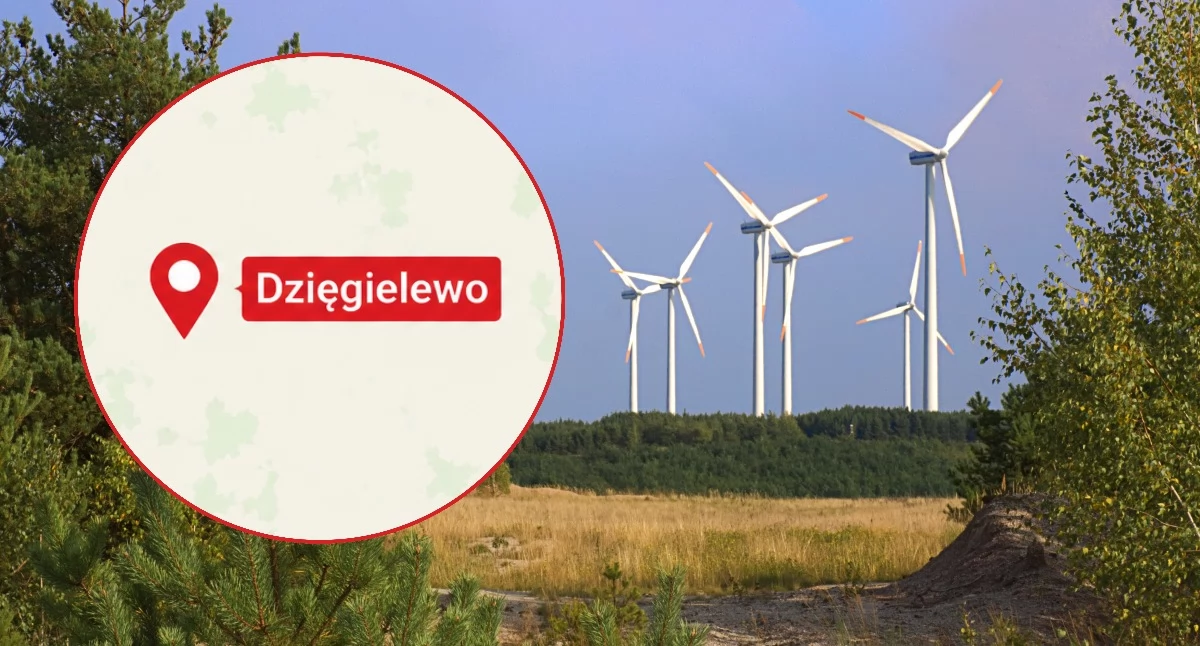 Zdjęcie jest tylko ilustracją do tekstu, fot. Canva