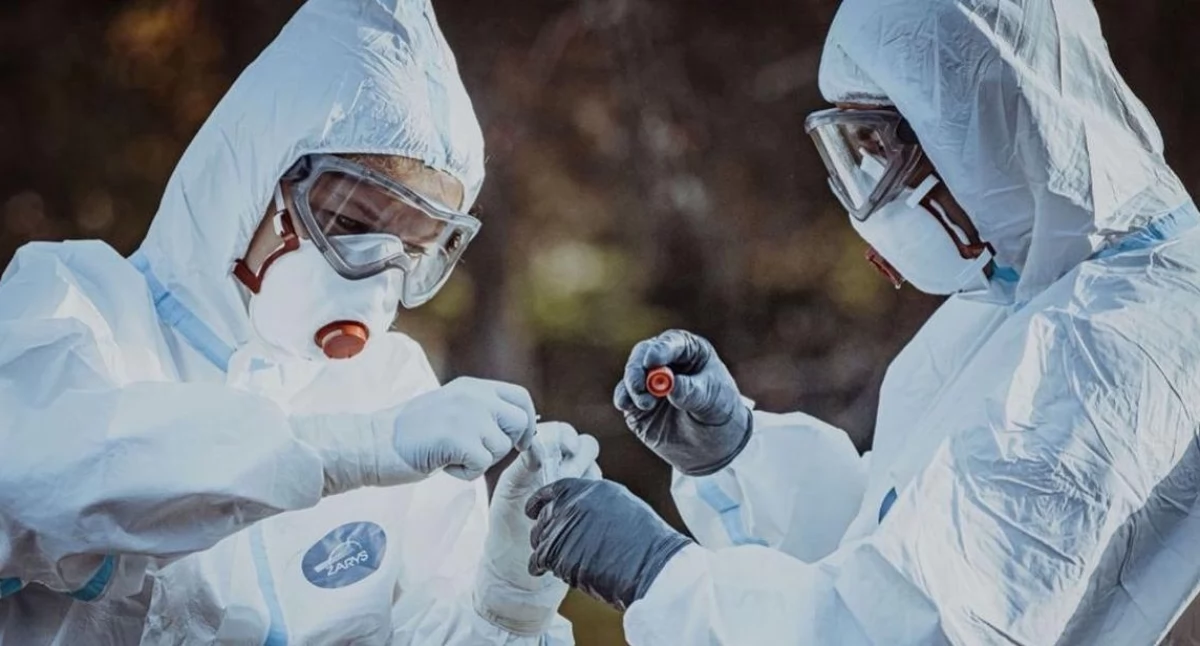 Zdrowie i uroda, Ebola coraz bliżej Polski - zdjęcie, fotografia