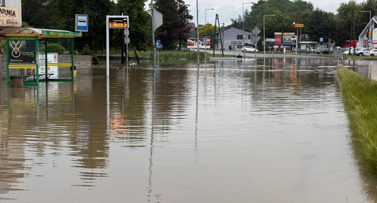 Miasto Jastrzębie - Zdrój 