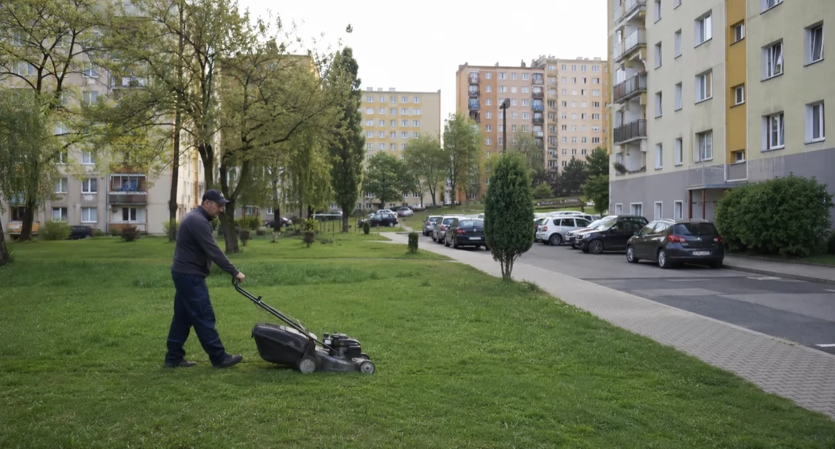 Hobby, Kosić kosić niuans dyskusji miejskiej zieleni - zdjęcie, fotografia