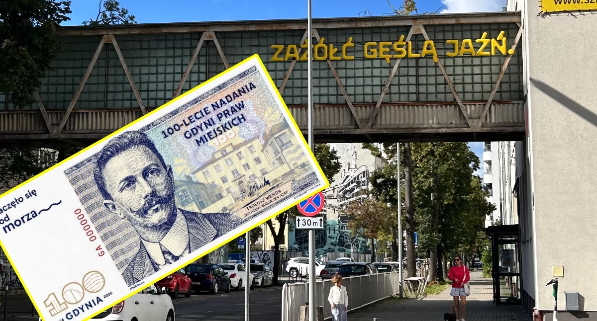 Informacje z Polski, Gdynia banknocie - zdjęcie, fotografia