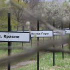 Fotka nr 4 z 9