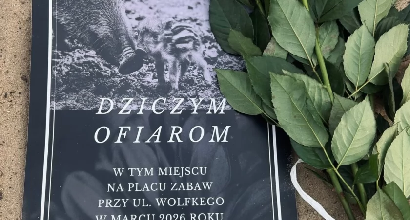 Miasto czy dzika natura? Mokotów stał się polem ostrego sporu