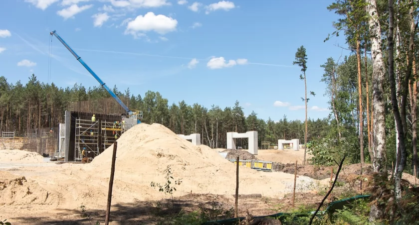 Chcą zbudować drogę przez chroniony las. Mieszkańcy Warszawy są wściekli