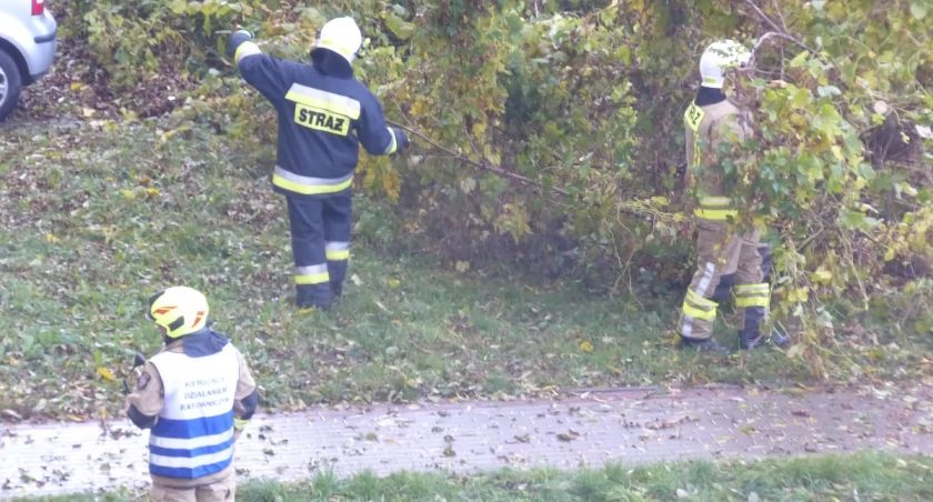 Ostrzeżenia IMGW dla jedenastu województw przed burzami i dla siedmiu przed wzrostem stanu wód