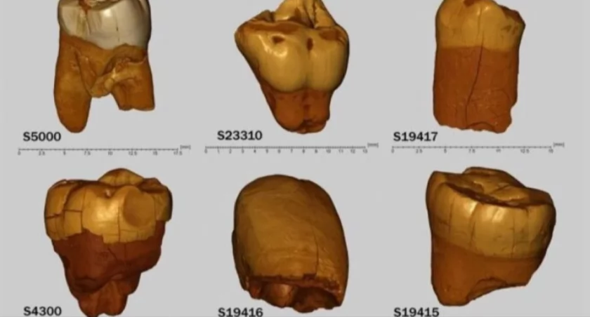 Neandertalczycy żyli tu tysiące lat temu. Nowe odkrycie z Polski zadziwiło świat nauki
