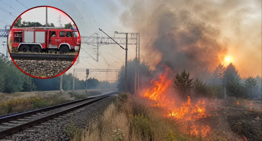 To były godziny chaosu. Pożar pod Warszawą sparaliżował kolej