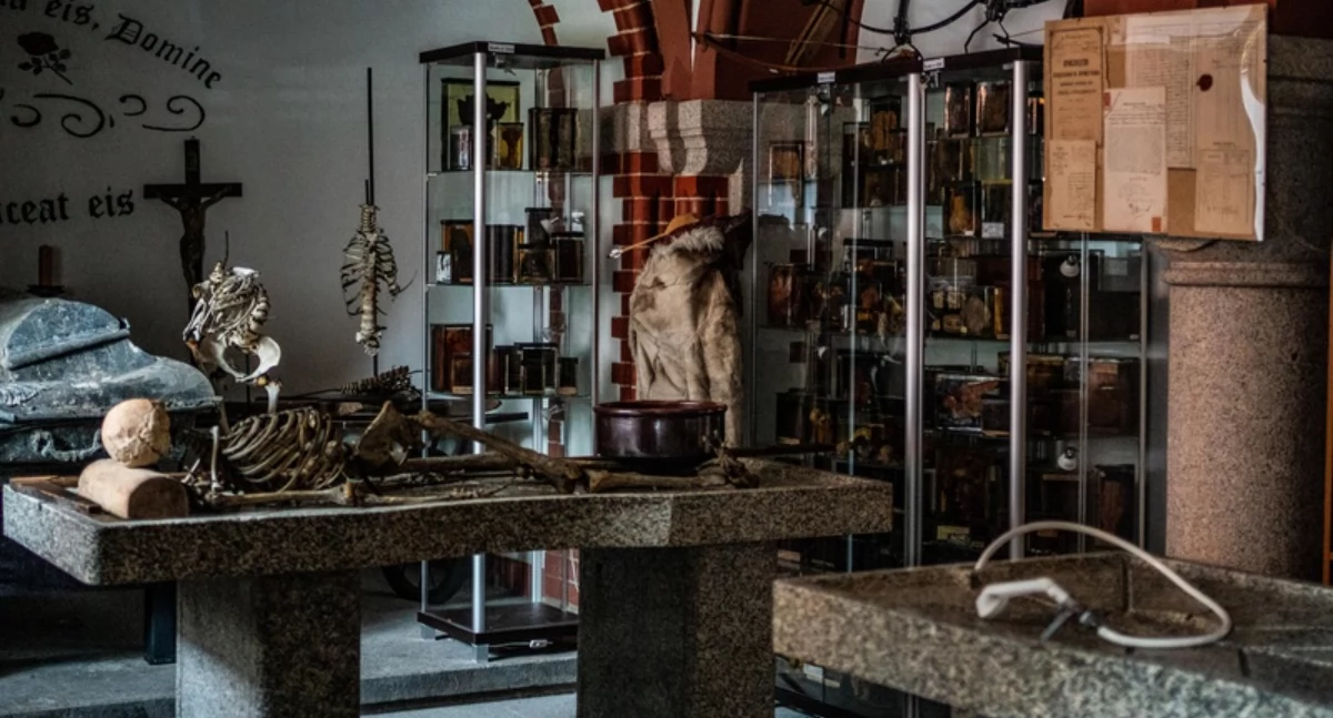 Tak Polacy walczyli z wampirami. Unikat we wrocławskim muzeum