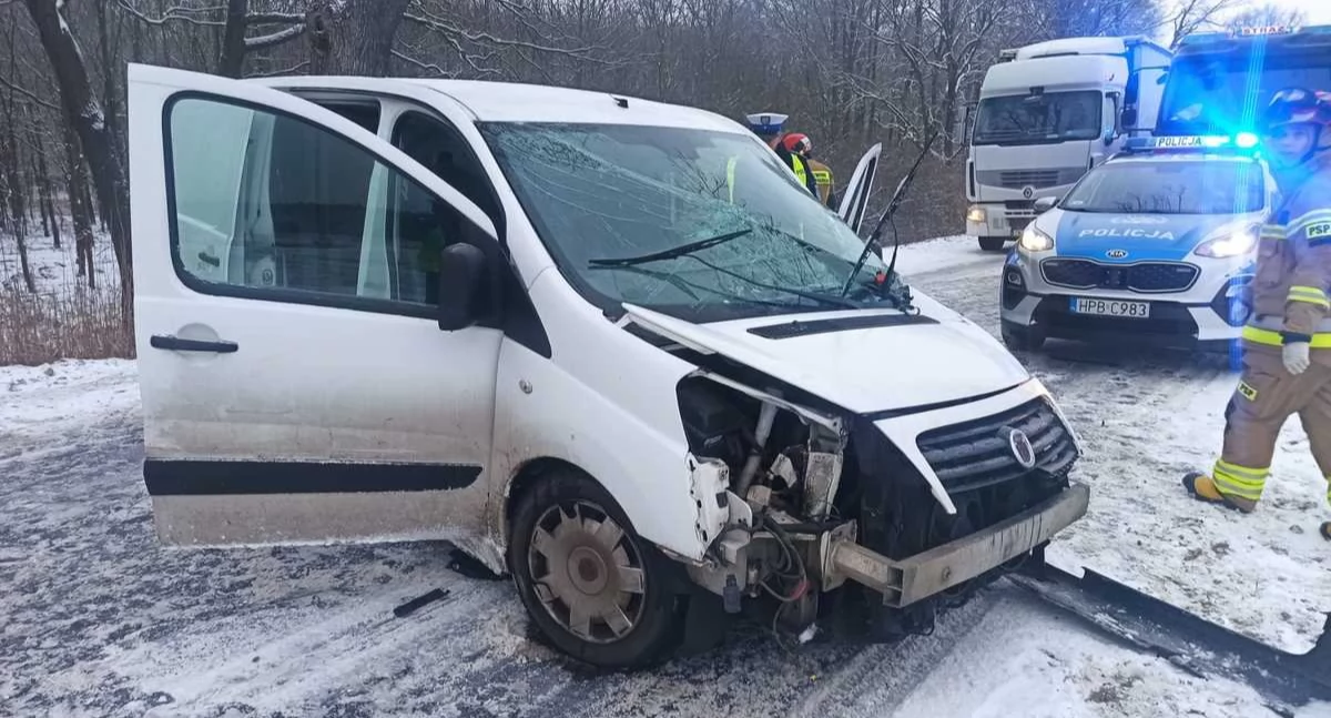 Uderzyli w drzewo. Nie uwierzysz, gdzie siedział pasażer [ZDJĘCIA]