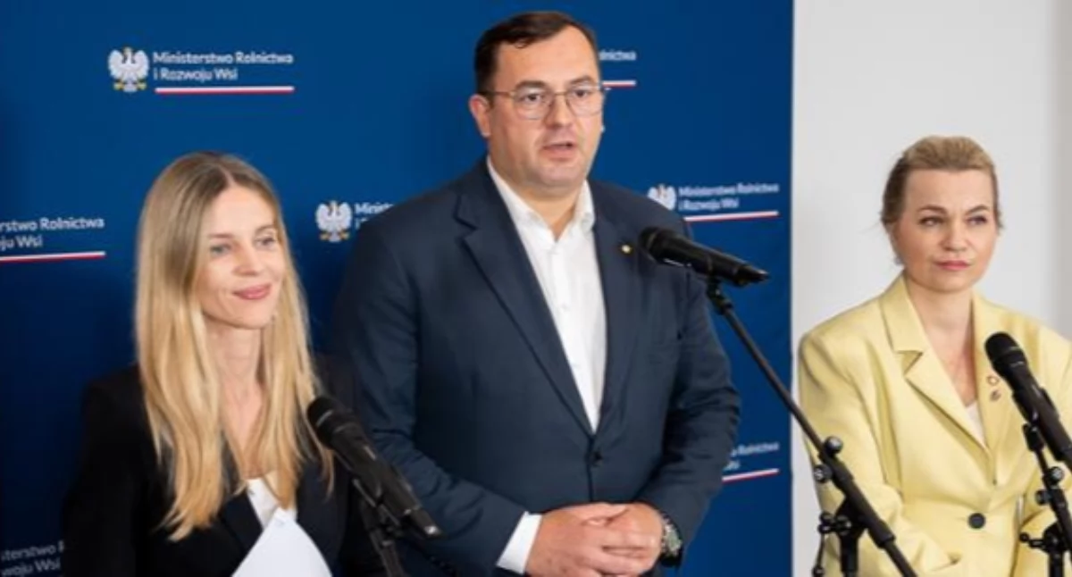 Od lokalnego producenta do żłobka