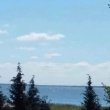 zdjęcie nr 