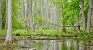 [WIDEO] Odkryj magiczne źródła rzeki Łyny!