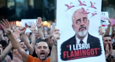 Flamingi kontra miliony. Albańczycy wyszli na ulice w obronie przyrody