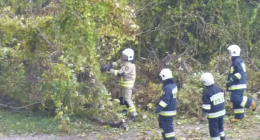 Nawałnice uderzą w Polskę. Możliwy grad, wichury i trąby powietrzne