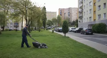 Kosić czy nie kosić? Nowy niuans w dyskusji o miejskiej zieleni