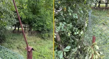 Wypadek podczas zbioru wiśni. Upadła z drabiny na metalowy pręt