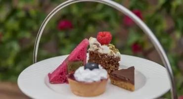 Michelin i mrówki na talerzu. Ekskluzywna restauracja pod lupą prokuratury