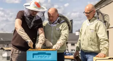 Miodobranie na dachu Urzędu Marszałkowskiego w Toruniu
