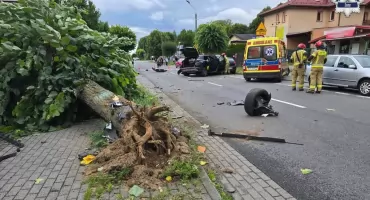 Samochód wyrwał drzewo z korzeniami
